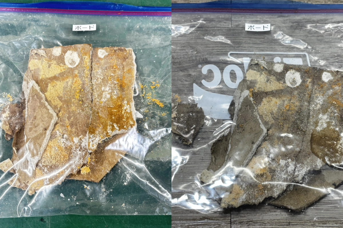 建材表面からのカビ菌採取と同定検査