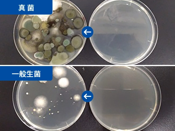 浮遊真菌調査・落下菌検査