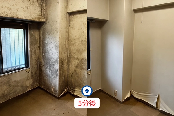 カビ除去