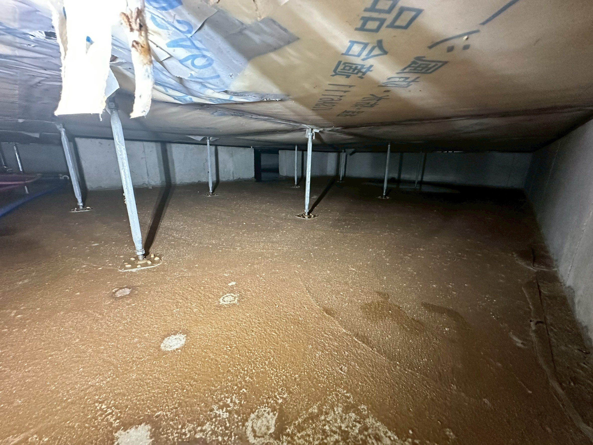 【2025年8月・熊本豪雨災害】熊本市西区にて床下水害復旧作業を実施｜汚泥除去・乾燥・消毒対応